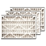 Trion Air Bear Cub 255649-101 Replacement Filter - 16x25x3