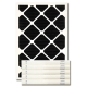14 X 20 X 2 Carbon Pleated Filter